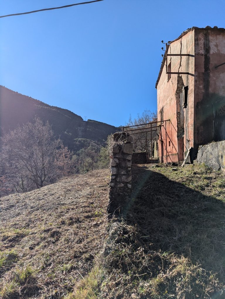 Terrain après débroussaillage