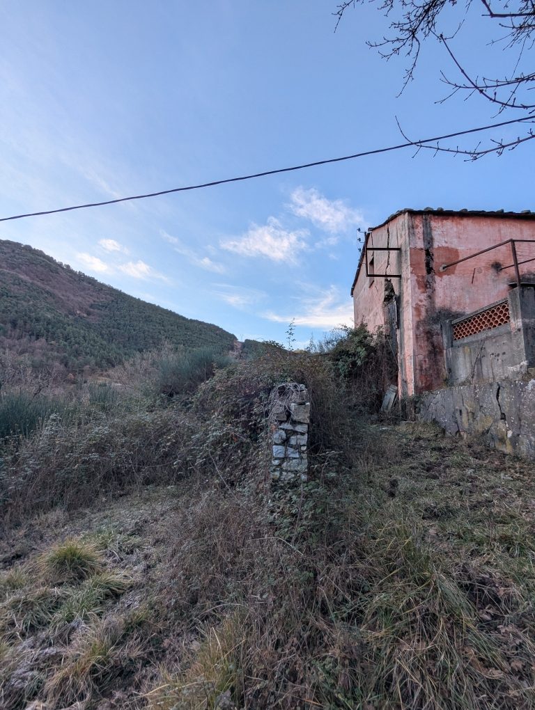 Terrain avant débroussaillage