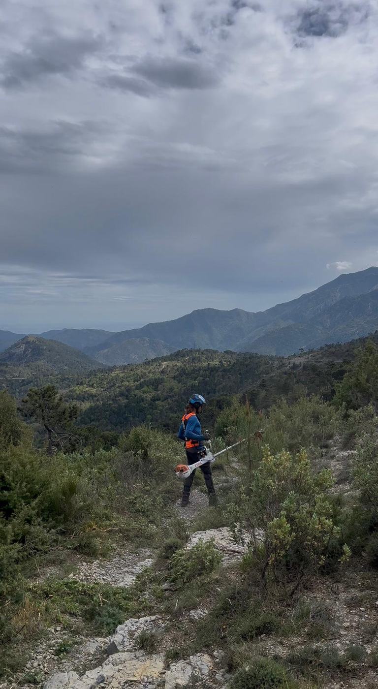 Débroussaillage en montagne, vallée de la Roya